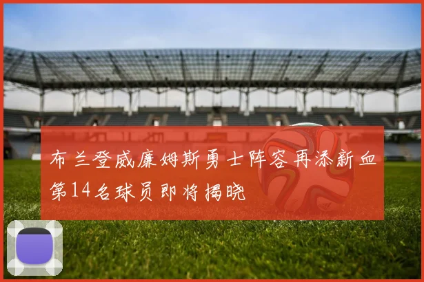 布兰登威廉姆斯勇士阵容再添新血第14名球员即将揭晓